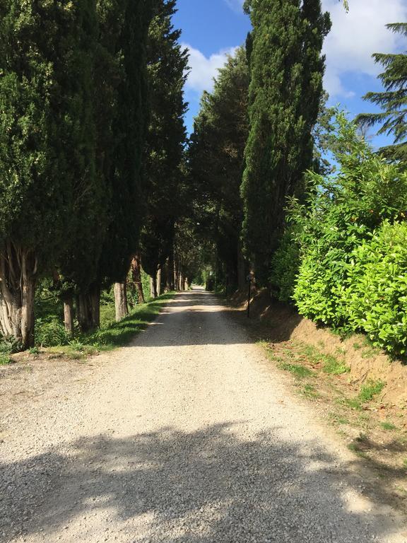 Monte Castelli "Villa Bizzi" מראה חיצוני תמונה